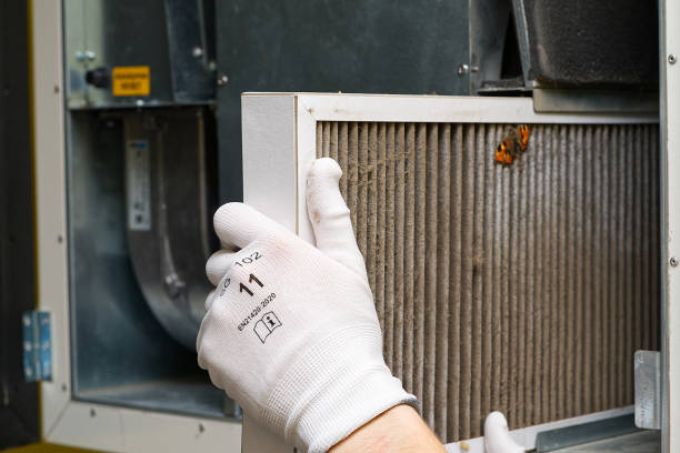 Air Duct Mold Removal in Hermann, MO